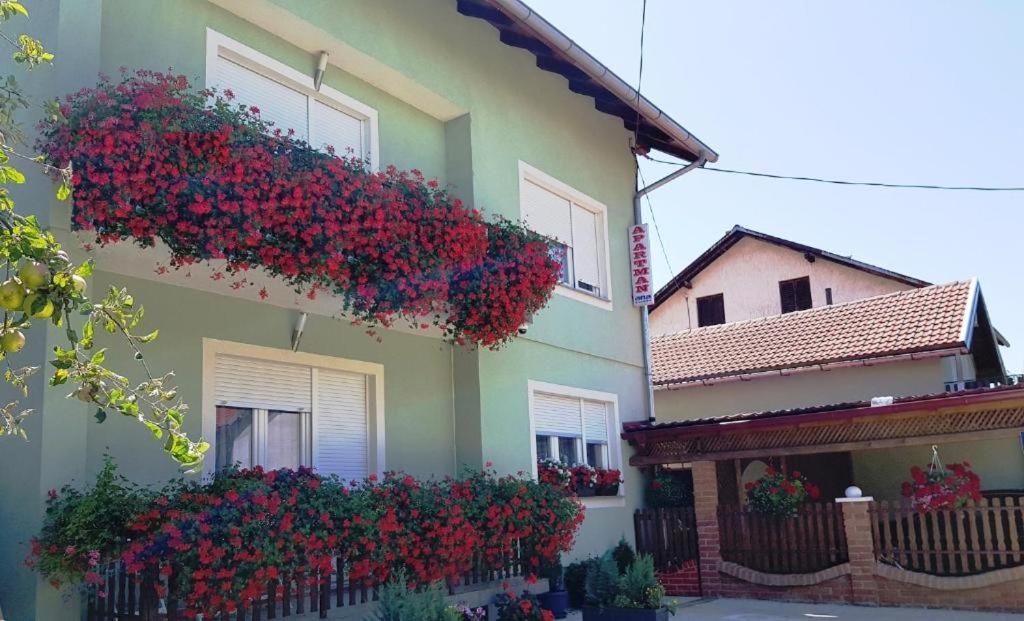 Ana Gračac Exterior foto